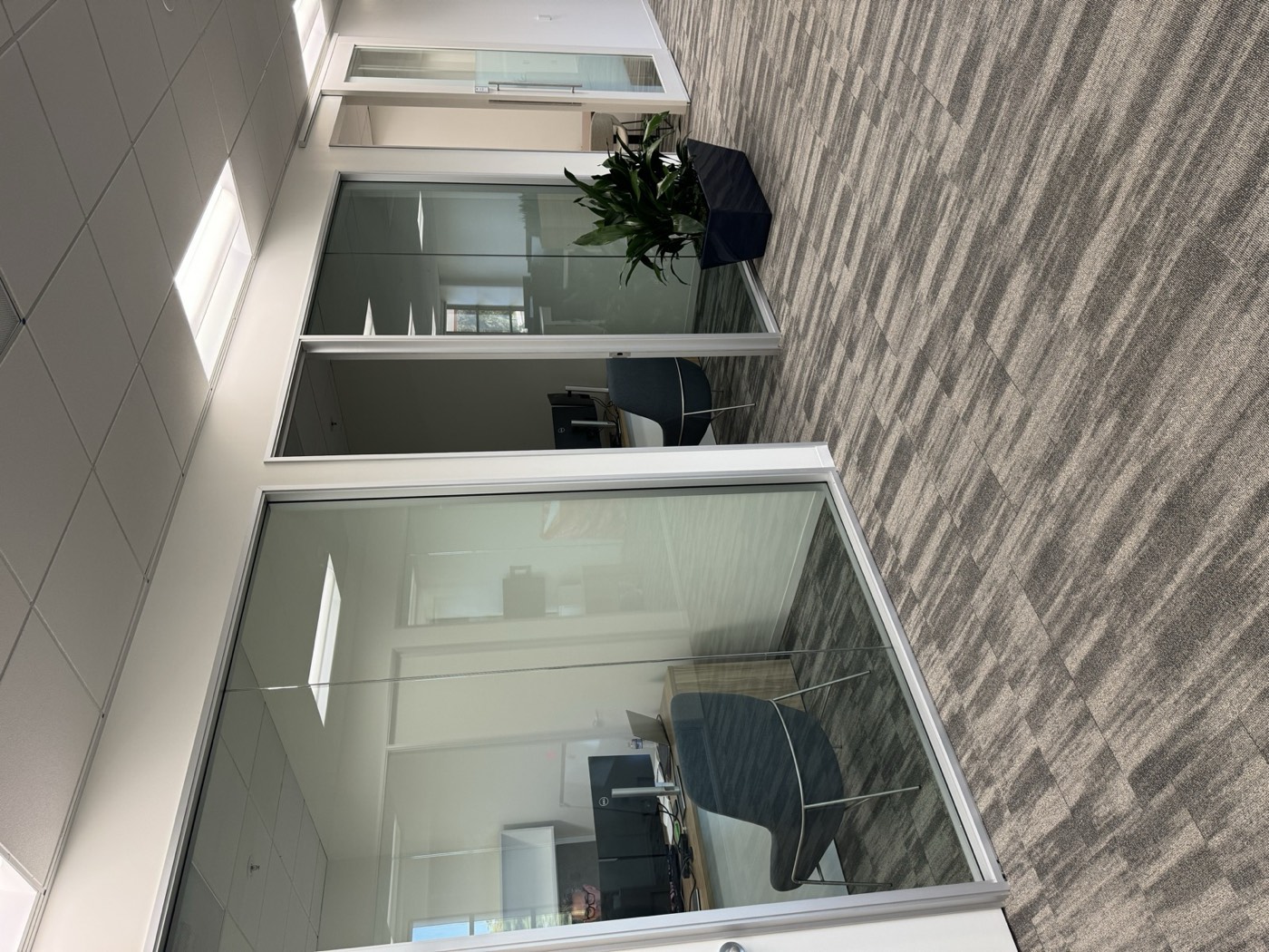 Glass-front private offices along a finished corridor with a planted accent